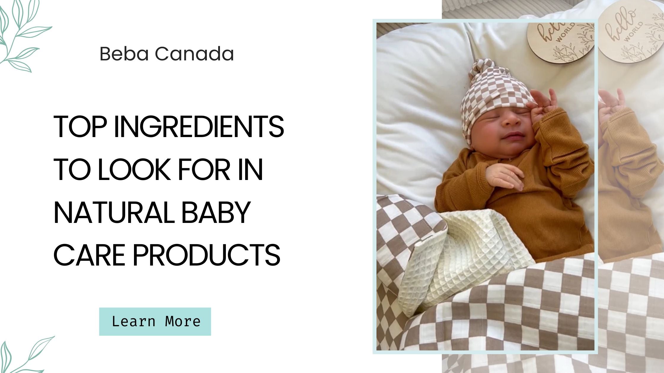 Top ingredients to Look for in Natural Baby Care Products