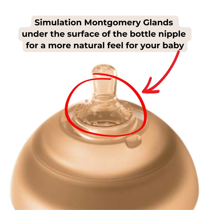 Simulation Breast-like Baby Bottle - Beba Canada