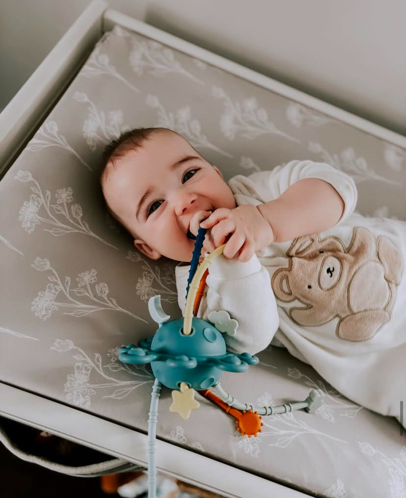 Montessori Style Pulling Toy