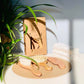 Natural Wooden Baby Brush Set
