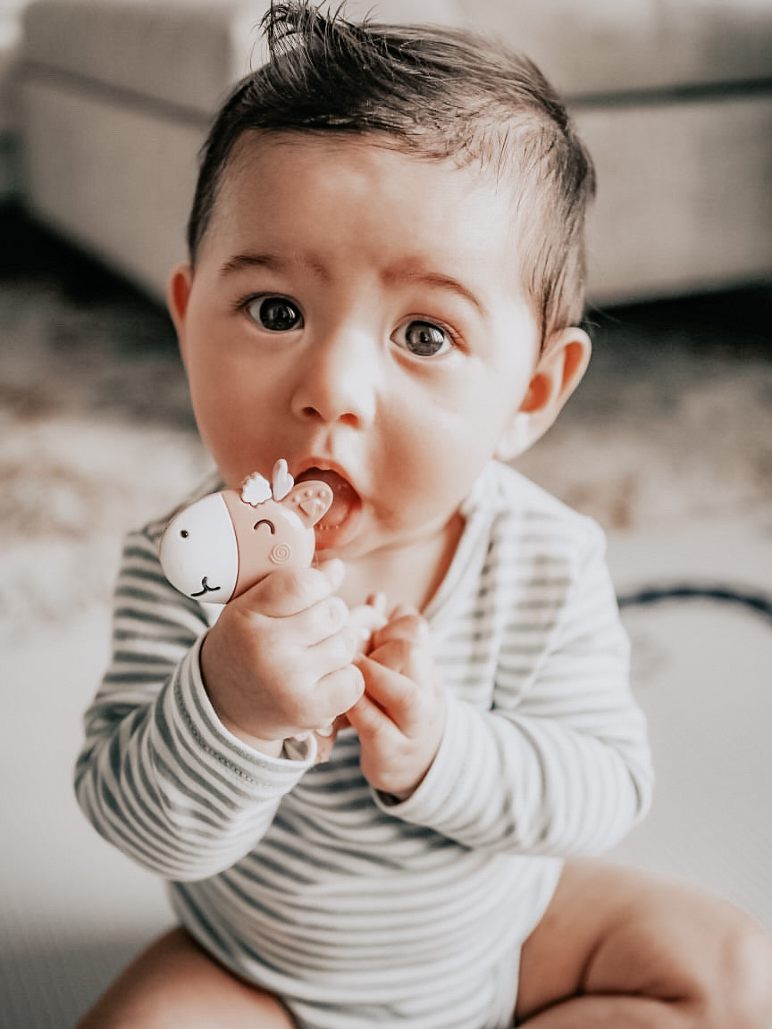 Giraffe Teether - Beba Canada