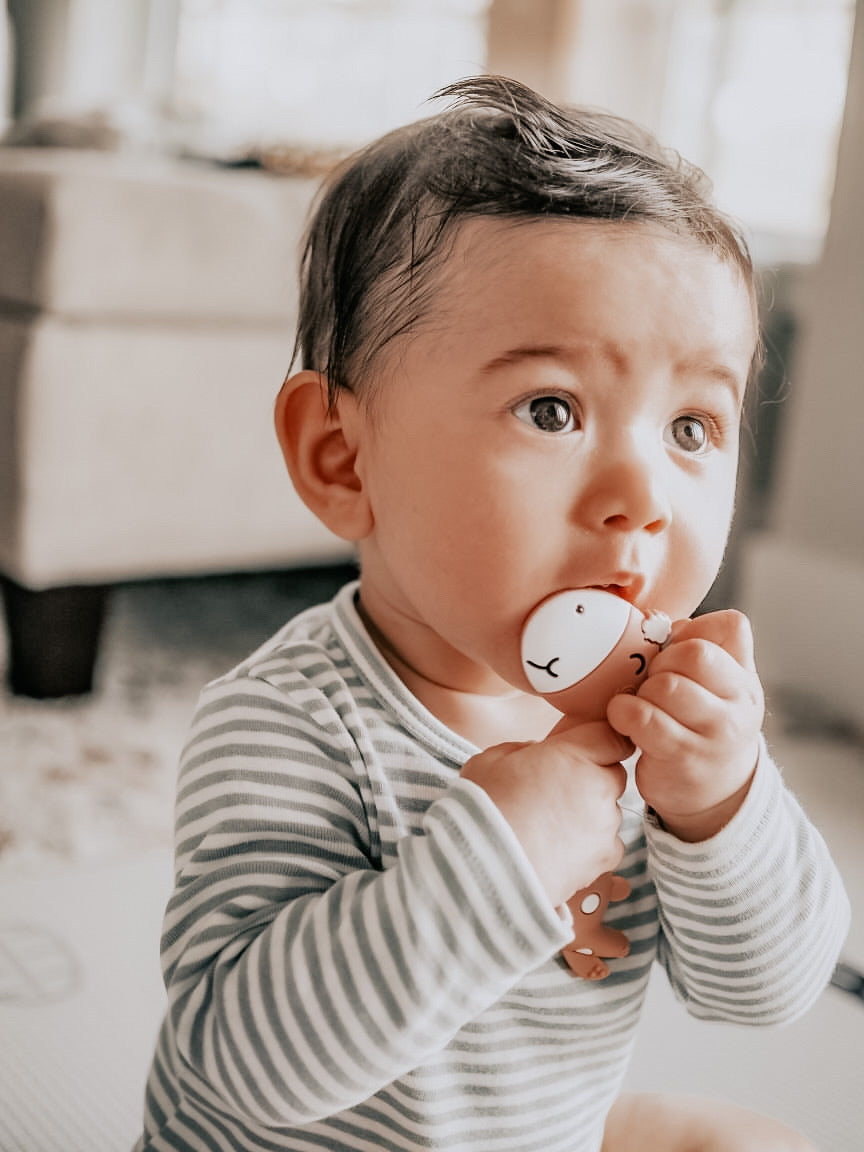 Giraffe Teether - Beba Canada